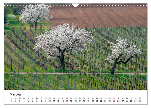 Produktbild: W&uuml;rttemberger Wein 2026 (Wandkalender 2026 DIN A3 quer), CALVENDO Monatskalender