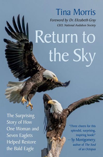 Produktbild: Return to the Sky