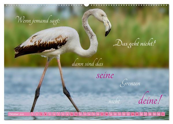 Produktbild: The Power Of Pink (hochwertiger Premium Wandkalender 2026 DIN A2 quer), Kunstdruck in Hochglanz