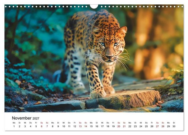 Produktbild: Gefleckte Schatten - Im Bann der Leoparden (Wandkalender 2027 DIN A3 quer), CALVENDO Monatskalender