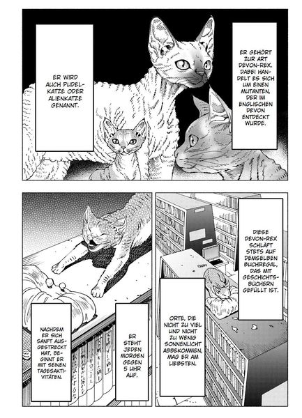 Produktbild: Night of the Living Cat 04 - Die Katze aus einer anderen Welt - D-Rex