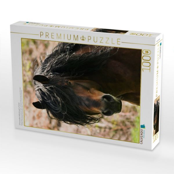 Produktbild: CALVENDO Puzzle Schwarzw&auml;lder Kaltbluthengst im Portrait | 1000 Teile Lege-Gr&ouml;&szlig;e 64x48cm Foto-Puzzle f&uuml;r gl&uuml;ckliche Stunden