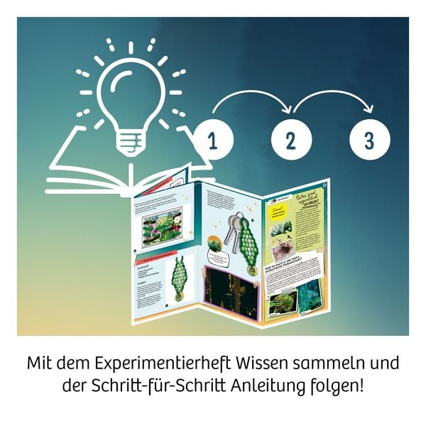 Produktbild: Die Schule der magischen Tiere Caspar
