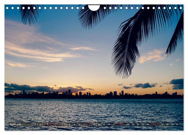 Produktbild: Florida - Sunshine State (Wandkalender 2026 DIN A4 quer), CALVENDO Monatskalender