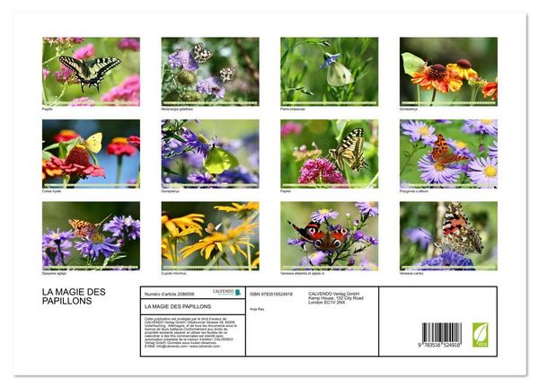 Produktbild: LA MAGIE DES PAPILLONS (Calendrier mural 2026 DIN A3 vertical), CALVENDO calendrier mensuel
