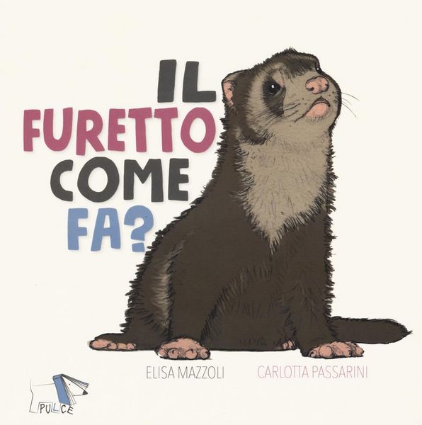 Produktbild: Il furetto come fa?