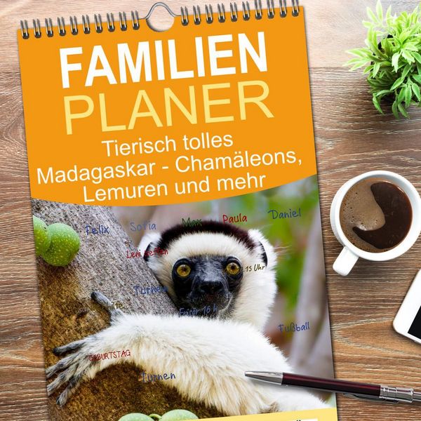 Produktbild: Familienplaner 2026 - Tierisch tolles Madagaskar - Cham&auml;leons, Lemuren und mehr mit 5 Spalten (Wandkalender, 21 x 45 cm) CALVENDO