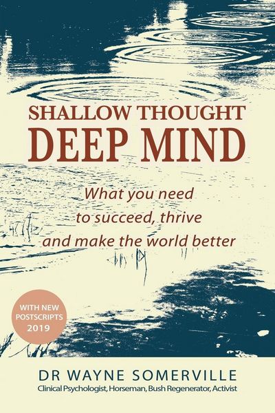 Produktbild: Shallow Thought, Deep Mind