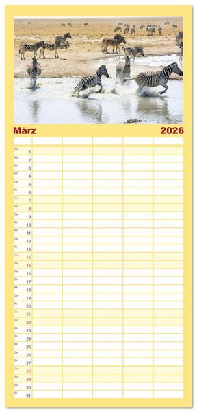 Produktbild: Familienplaner 2026 - Zebras in Afrika mit 5 Spalten (Wandkalender, 21 x 45 cm) CALVENDO
