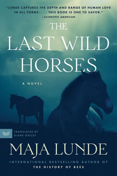 Produktbild: The Last Wild Horses