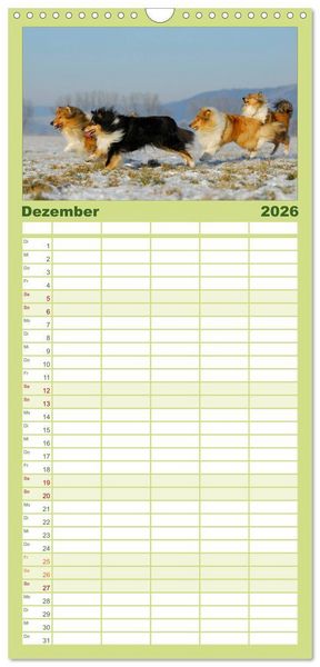 Produktbild: Familienplaner 2026 - Faszination Collie 2026 mit 5 Spalten (Wandkalender, 21 x 45 cm) CALVENDO