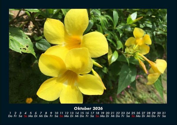 Produktbild: Blumenkalender 2026 Fotokalender DIN A4