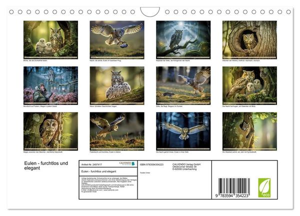 Produktbild: Eulen - furchtlos und elegant (Wandkalender 2027 DIN A4 quer), CALVENDO Monatskalender