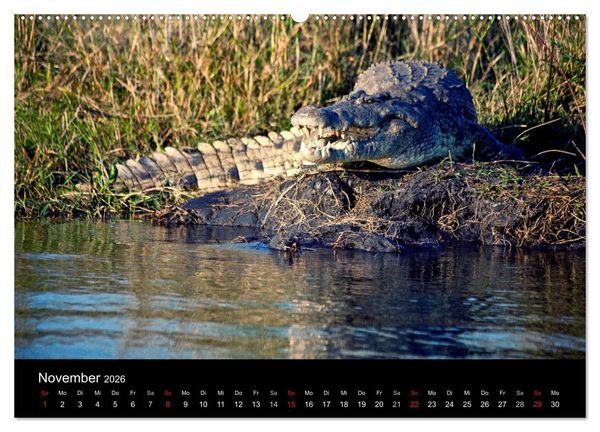Produktbild: Malawi (Wandkalender 2026 DIN A2 quer), CALVENDO Monatskalender
