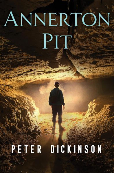 Produktbild: Annerton Pit