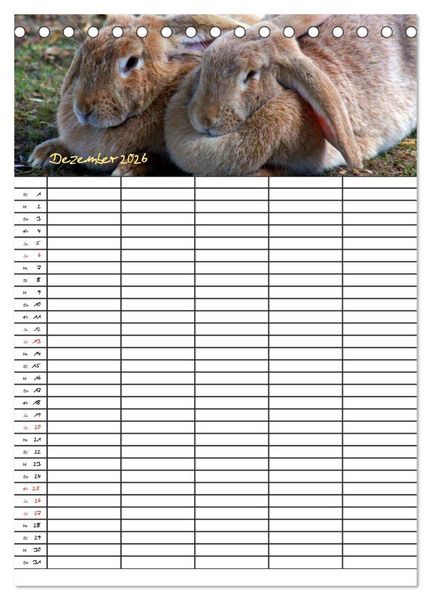Produktbild: Bauernhoftiere Familienplaner (Tischkalender 2026 DIN A5 hoch), CALVENDO Monatskalender