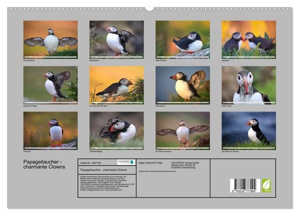 Produktbild: Papageitaucher - charmante Clowns (hochwertiger Premium Wandkalender 2027 DIN A2 quer), Kunstdruck in Hochglanz