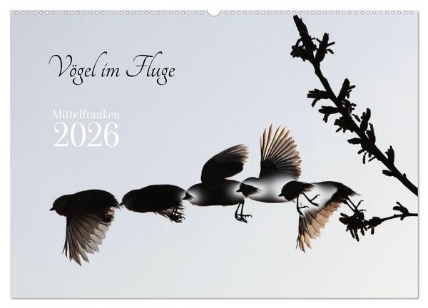 Produktbild: V&ouml;gel im Fluge (Wandkalender 2026 DIN A2 quer), CALVENDO Monatskalender