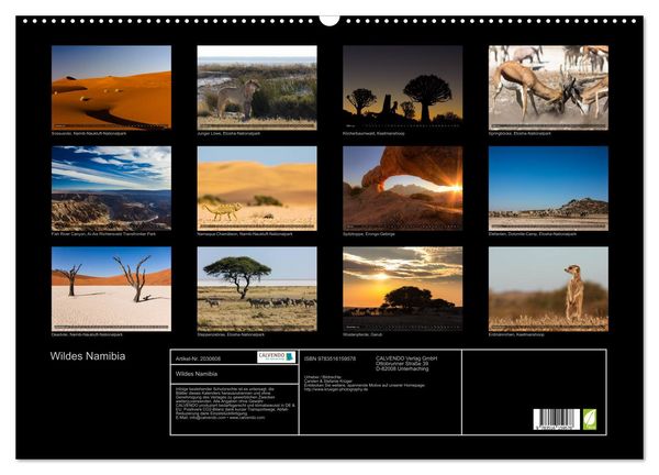 Produktbild: Wildes Namibia (Wandkalender 2026 DIN A2 quer), CALVENDO Monatskalender