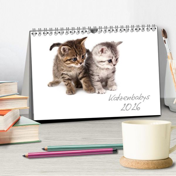 Produktbild: Katzenbabys (Tischkalender 2026 DIN A5 quer), CALVENDO Monatskalender