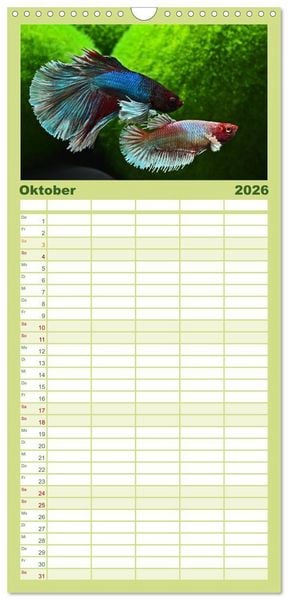 Produktbild: Familienplaner 2026 - Beliebte Fische der Welt mit 5 Spalten (Wandkalender, 21 x 45 cm) CALVENDO
