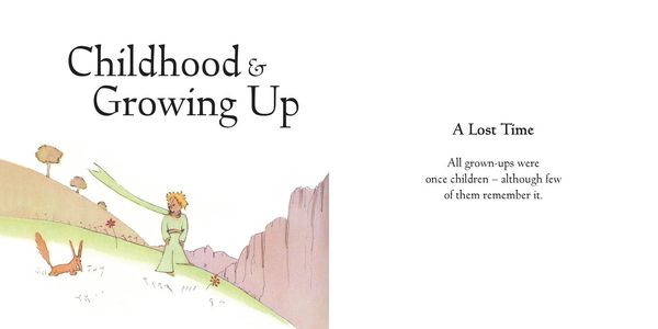 Produktbild: The Little Prince: Wisdom from Beyond the Stars