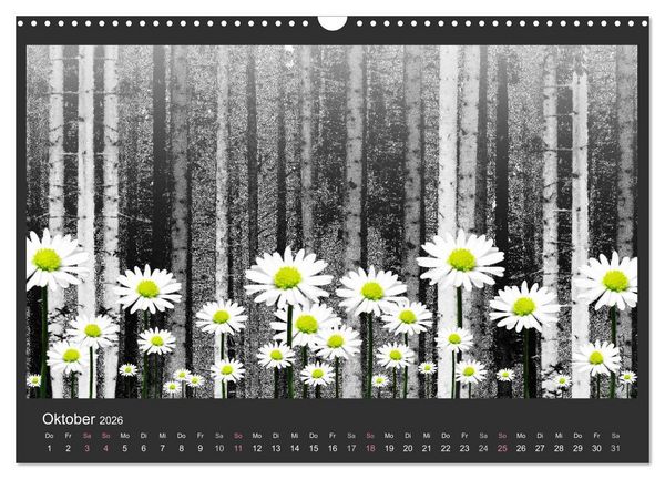 Produktbild: Schwarzwald. Anders. (Wandkalender 2026 DIN A3 quer), CALVENDO Monatskalender