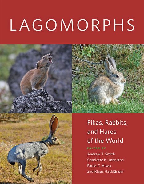Produktbild: Lagomorphs