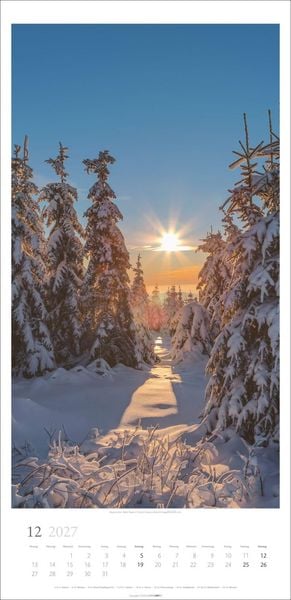 Produktbild: Im Wald Kalender 2027