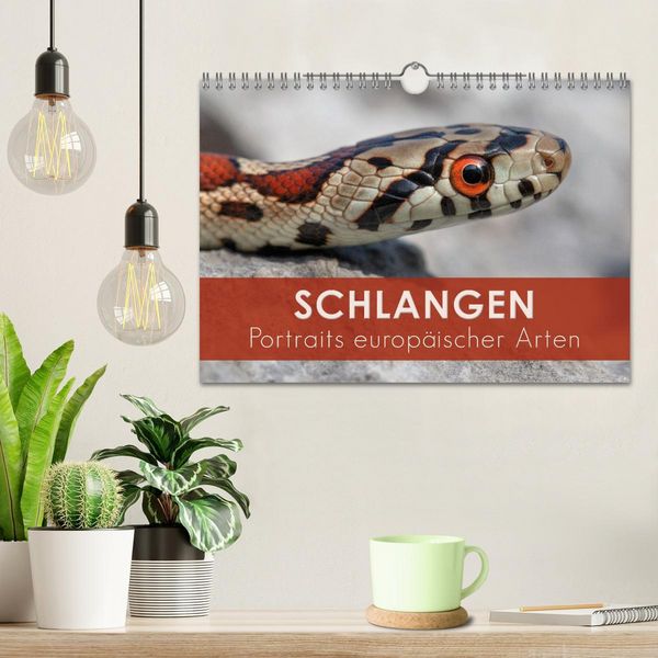 Produktbild: Schlangen - Portraits europ&auml;ischer Arten (Wandkalender 2026 DIN A4 quer), CALVENDO Monatskalender