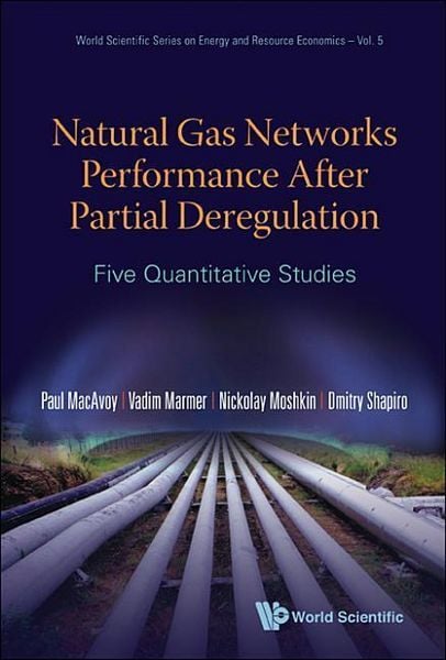Produktbild: Natural Gas Networks Performance After Partial Deregulation: Five Quantitative Studies