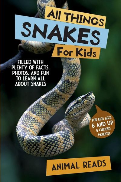 Produktbild: All Things Snakes For Kids