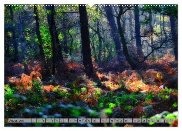 Produktbild: Spaziergang durch den Zauberwald (Wandkalender 2026 DIN A2 quer), CALVENDO Monatskalender
