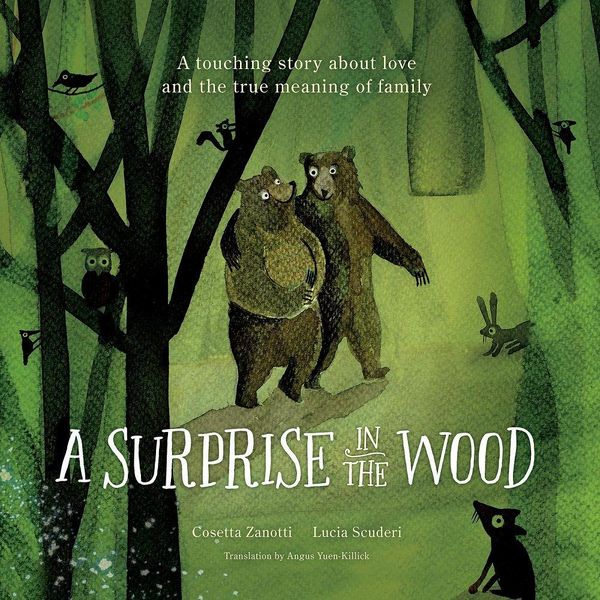 Produktbild: A Surprise in the Wood