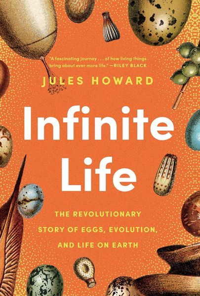 Produktbild: Infinite Life