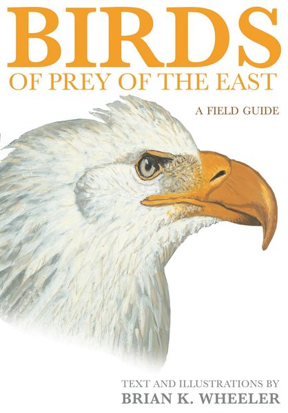 Produktbild: Birds of Prey of the East