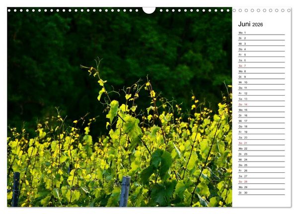 Produktbild: Landschaften des Kraichgaus (Wandkalender 2026 DIN A3 quer), CALVENDO Monatskalender