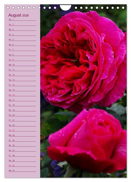 Produktbild: Rosen Symphonie (Wandkalender 2026 DIN A4 hoch), CALVENDO Monatskalender