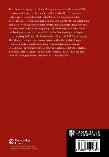 Produktbild: The Pinch Technique and its Applications to Non-Abelian Gauge Theories