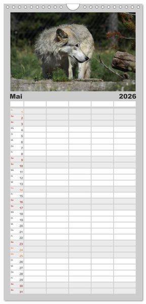 Produktbild: Familienplaner 2026 - W&ouml;lfe. Graue Eminenzen mit 5 Spalten (Wandkalender, 21 x 45 cm) CALVENDO