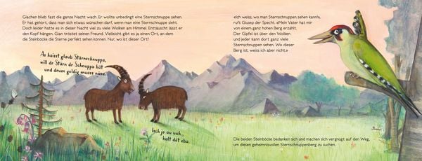 Produktbild: Gian und Giachen und der Sternschnuppenberg