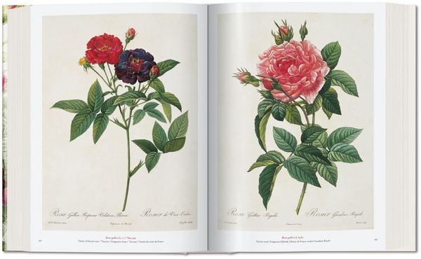 Produktbild: Redout&eacute;. The Book of Flowers