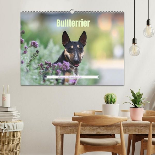 Produktbild: Bullterrier - charmante Herzensbrecher (Wandkalender 2026 DIN A2 quer), CALVENDO Monatskalender
