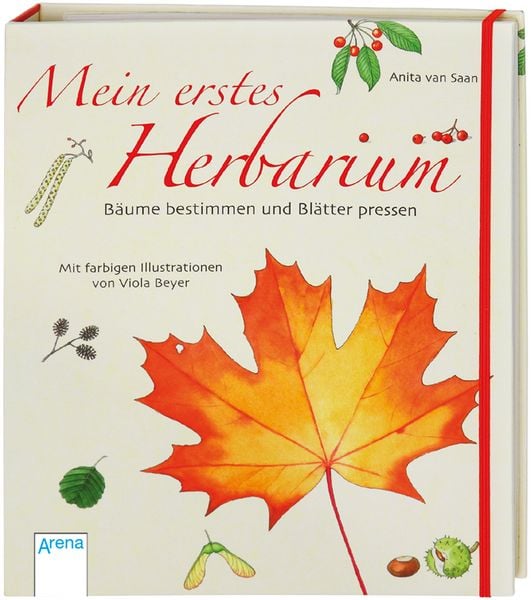 Produktbild: Mein erstes Herbarium - B&auml;ume bestimmen und Bl&auml;tter pressen