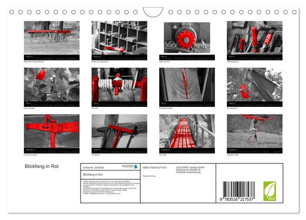 Produktbild: Blickfang in Rot (Wandkalender 2026 DIN A4 quer), CALVENDO Monatskalender