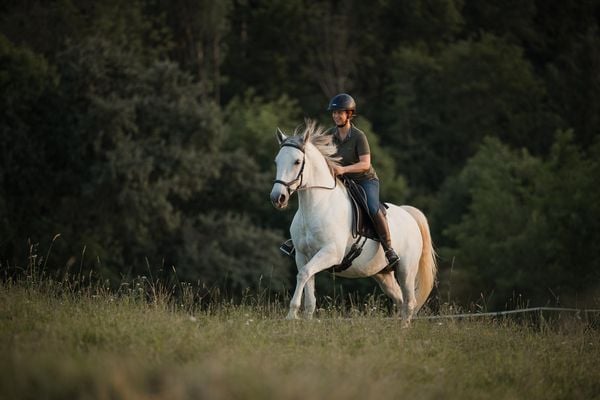 Einfach (An)Reiten