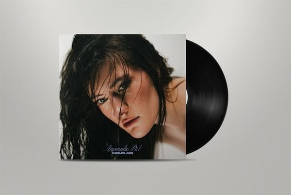 Produktbild: Anomalie Pt.1, 1 Schallplatte (180g Black LP)