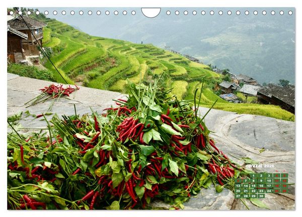Produktbild: Riz de Chine (Calendrier mural 2026 DIN A4 vertical), CALVENDO calendrier mensuel