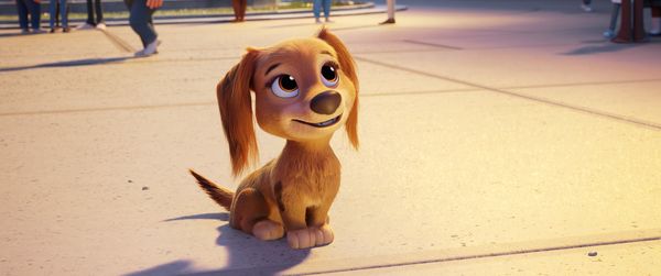 Paw Patrol: Der Kinofilm