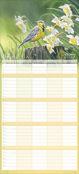 Produktbild: Bunte Vogelwelt Familienplaner 2027
